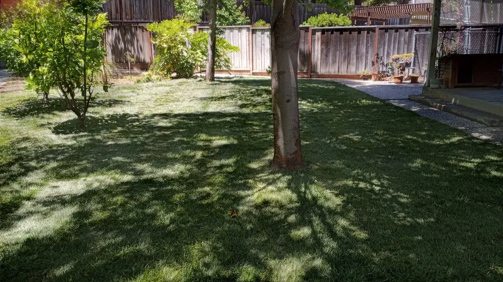 Local residential landscaping in San Ramon, CA - A-1 Complete Landscape And Maintenance