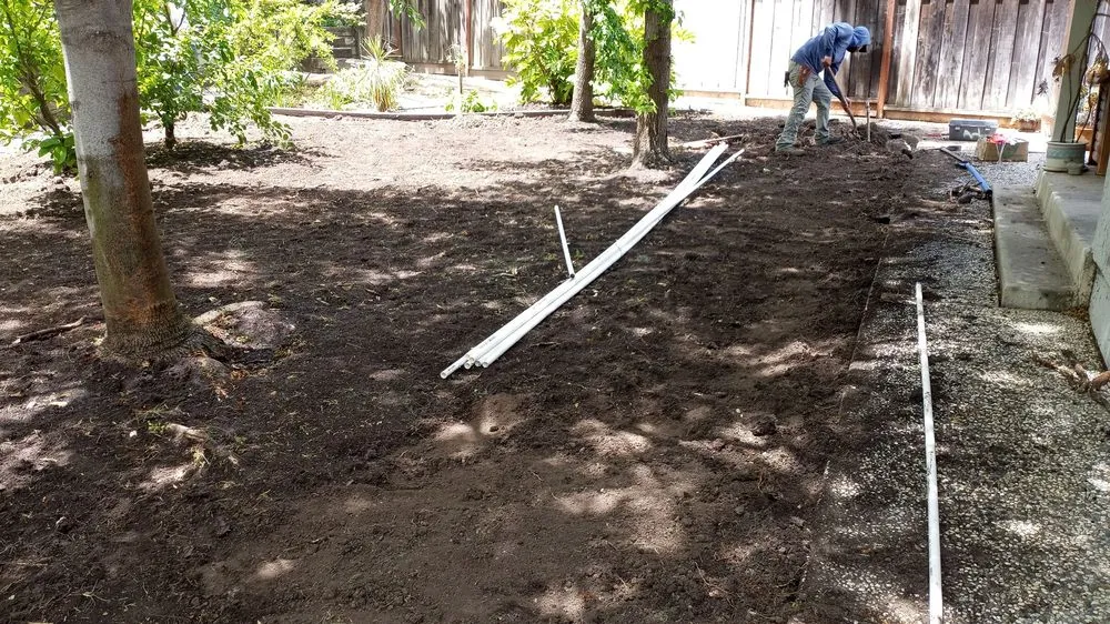 Professional yard cleanup service in San Ramon, CA - A-1 Complete Landscape And Maintenance
