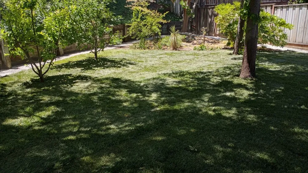 Top-rated landscaping services in San Ramon, CA - A-1 Complete Landscape And Maintenance