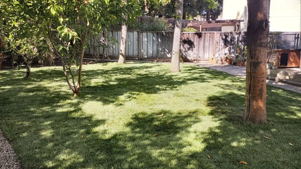 Trusted lawn mowing service with custom design across San Ramon, CA - A-1 Complete Landscape And Maintenance