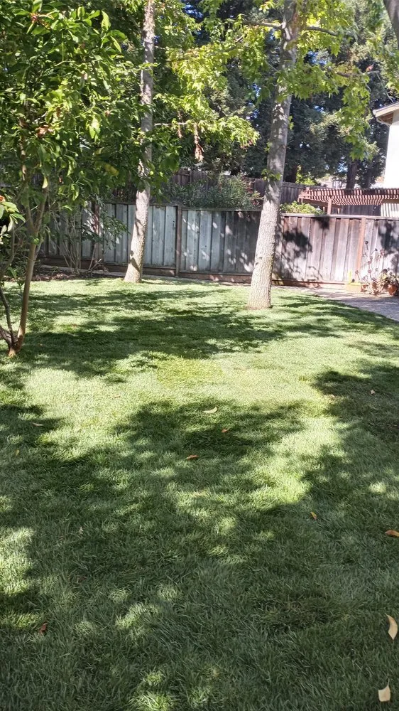 Custom lawn care service in San Ramon, CA by A-1 Complete Landscape And Maintenance