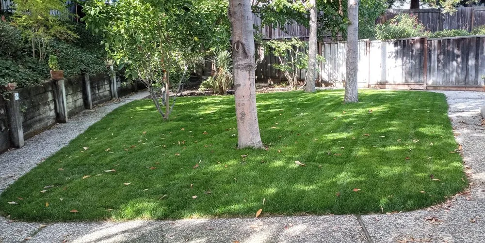Top-rated landscape design experts serving Dublin, CA - A-1 Complete Yard Service