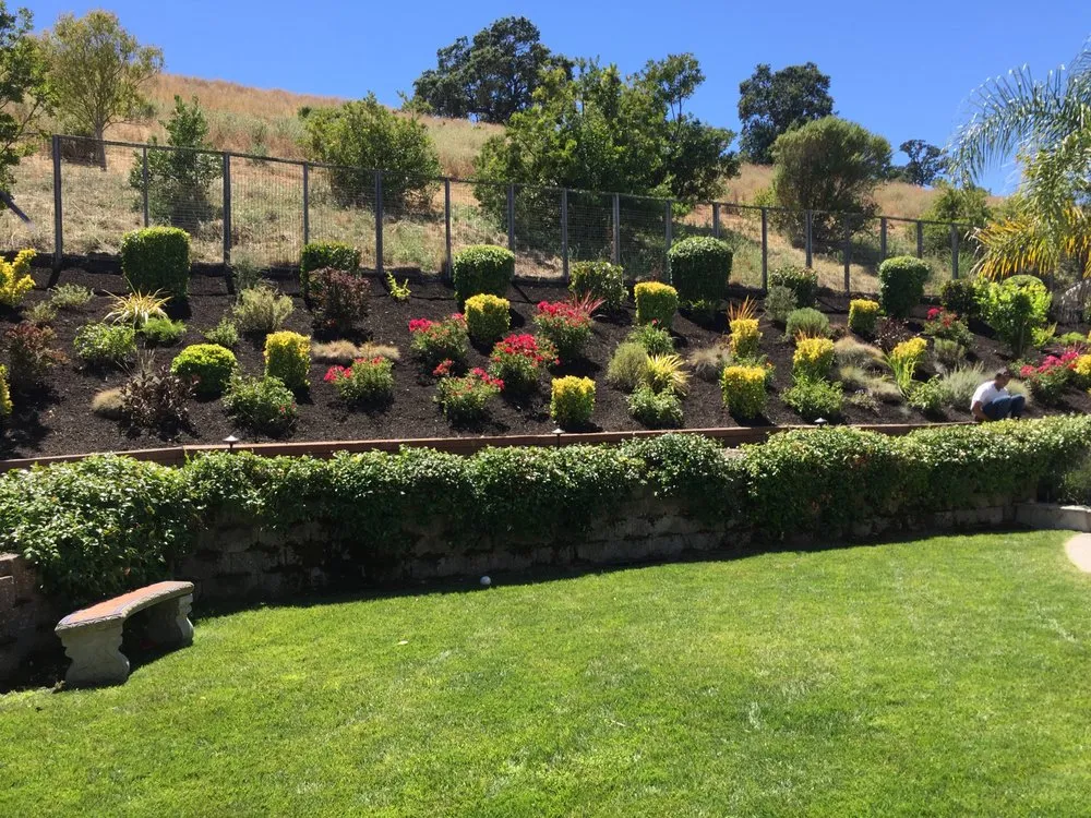 Trusted lawn mowing service with custom design across Dublin, CA - A-1 Complete Yard Service