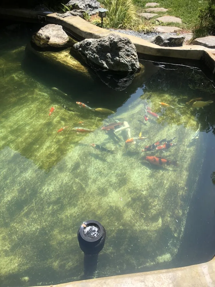 Custom lawn mowing service experts serving Dublin, CA - A-1 Complete Yard Service