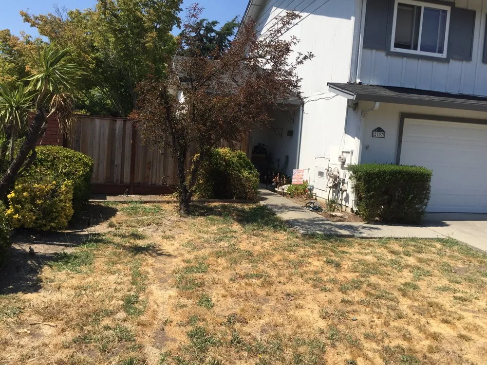 Reliable yard maintenance in Dublin, CA - A-1 Complete Yard Service