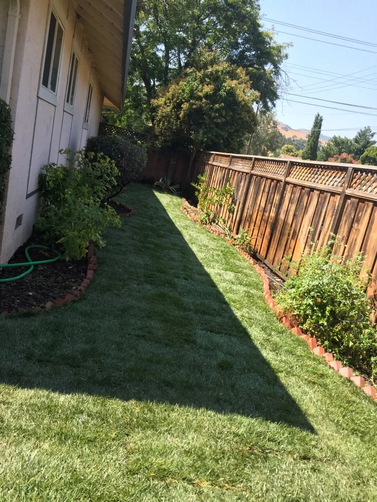 Expert yard cleanup service in Dublin, CA by A-1 Complete Yard Service