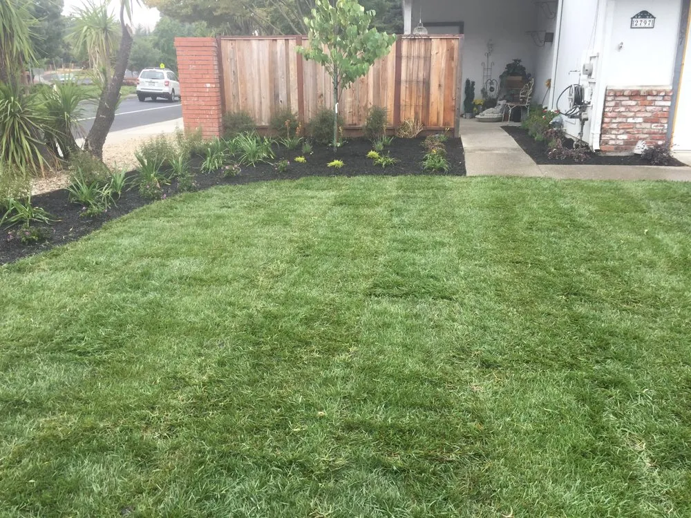 Expert lawn mowing service experts serving Dublin, CA - A-1 Complete Yard Service