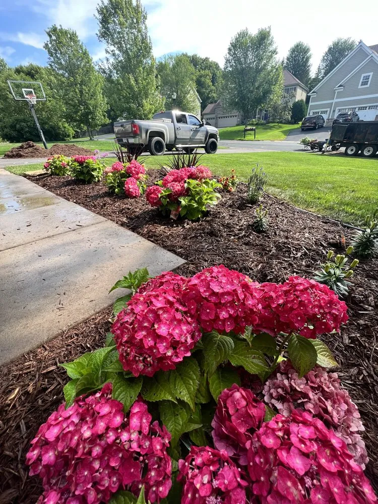 Reliable yard cleanup service in Farmington, MN - A-1 Curb Appeal