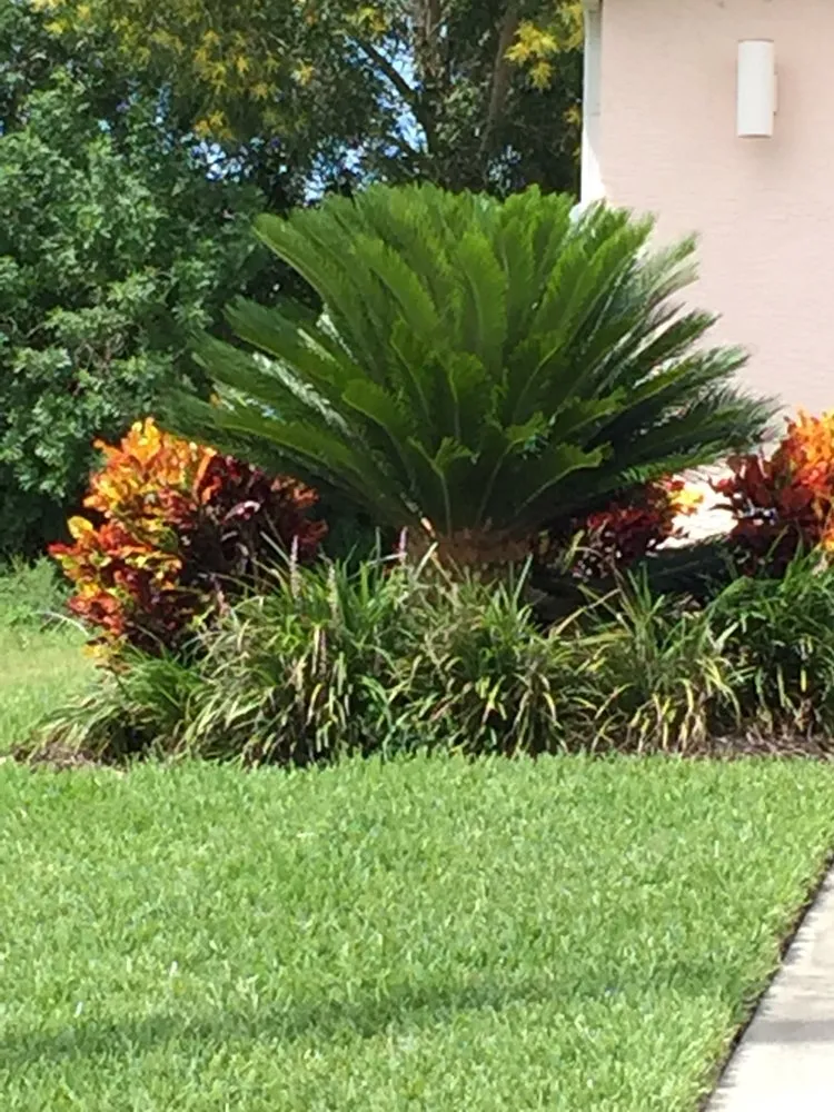 Custom outdoor landscaping experts serving Cape Coral, FL - A-1 Cutting Edge