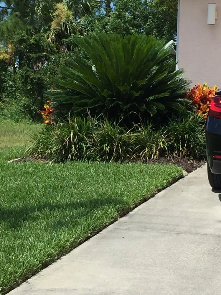 Trusted landscaping services in Cape Coral, FL by A-1 Cutting Edge