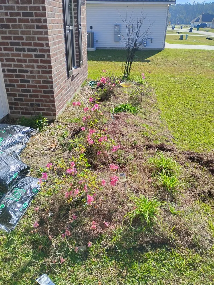 Top-rated yard maintenance in Hammond, LA by A 1 Day 1 Lawncare