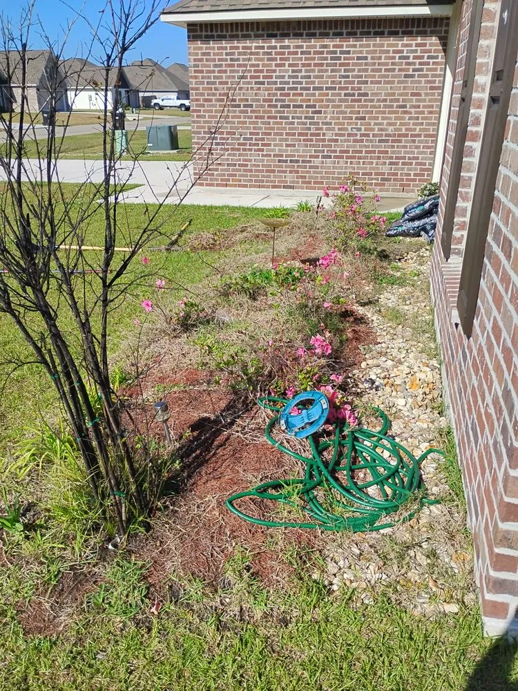 Professional lawn care service in Hammond, LA - A 1 Day 1 Lawncare