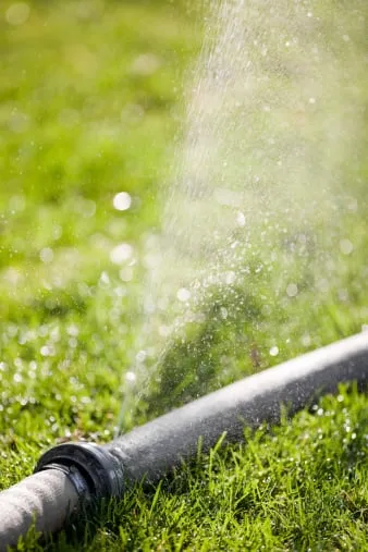 Professional garden landscaping in Marysville, WA by A-1 Economy Gardening