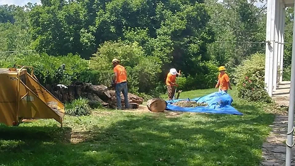 Custom yard cleanup service in Kingsport, TN by A-1 Good Ol Boys Tree Service