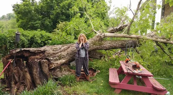 A-1 Good Ol Boys Tree Service Logo