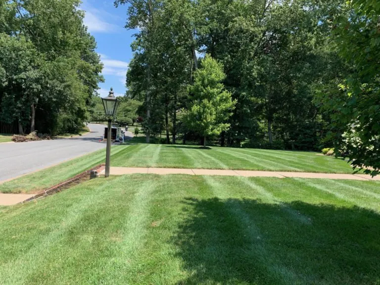 Affordable yard maintenance in Smyrna, DE by A-1 Kevin's Landscaping
