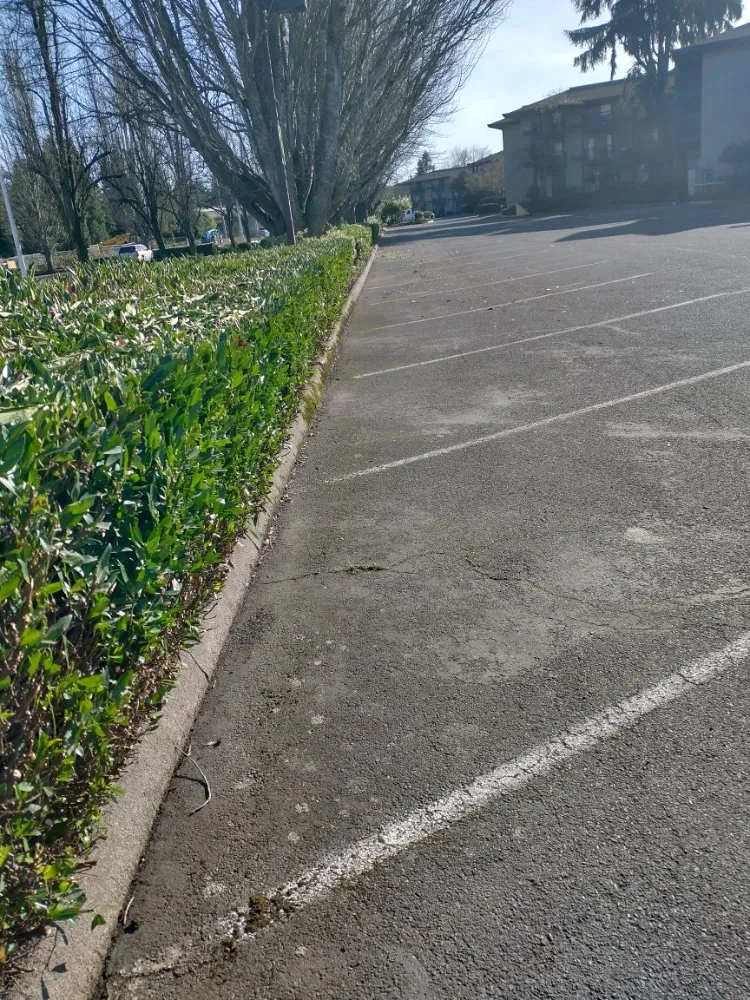 Professional landscaping services in Eugene, OR by A-1 Landscape & Design