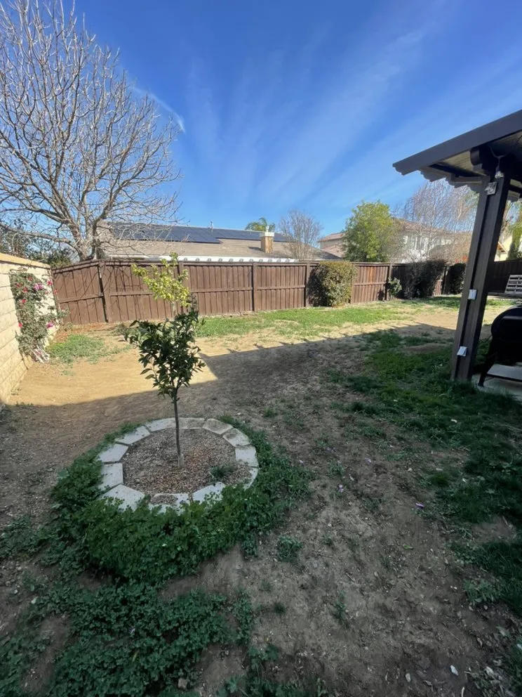 Affordable yard cleanup service for beautiful yards across Hemet, CA - A-1 Landscape & Tree Experts