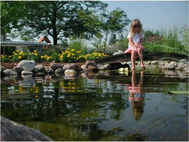 Trusted landscaping services experts serving Taylors, SC - A-1 Landscape Maintenance