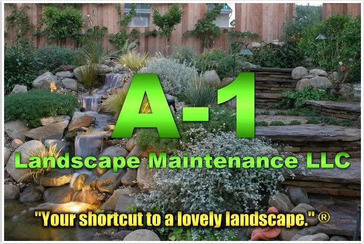 Affordable yard cleanup service in Taylors, SC by A-1 Landscape Maintenance