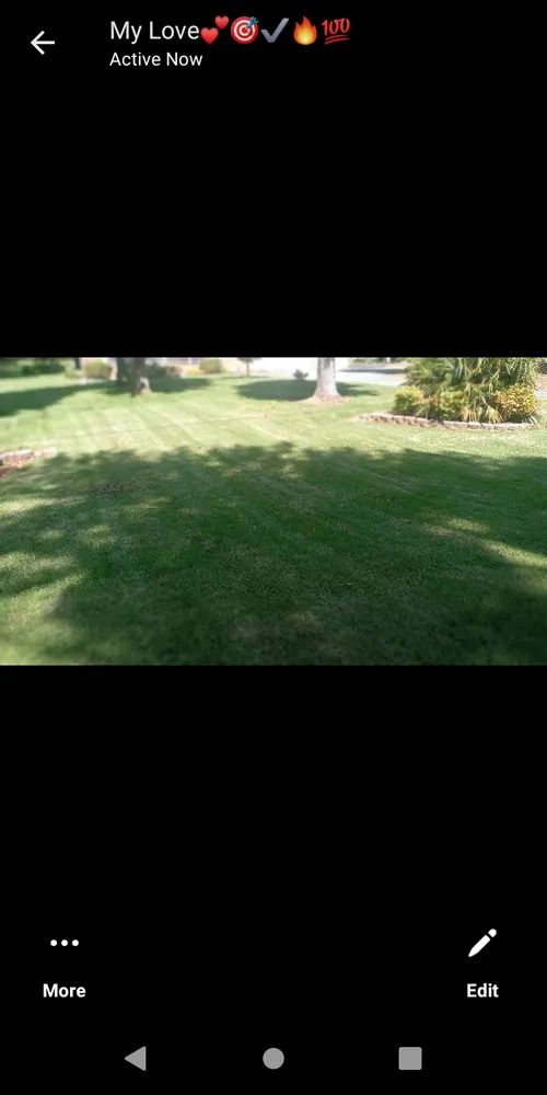 Top-rated landscape installation in Denton, NC by A-1 Landscapeing & Lawn Care