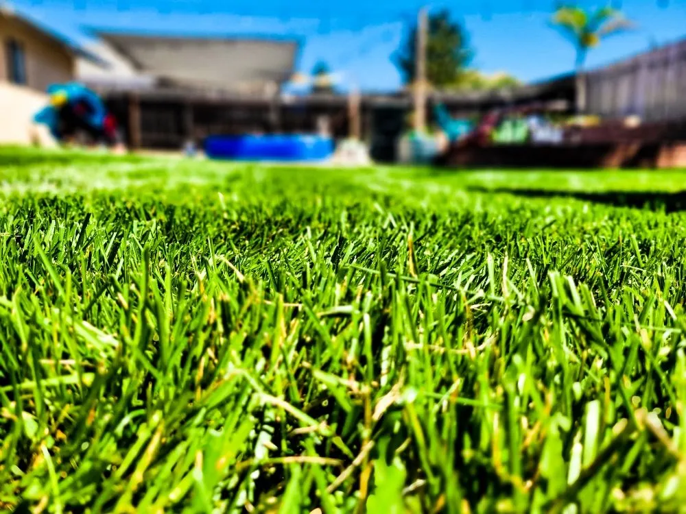 Local garden landscaping with custom design across Oceano, CA - A-1 Landscapes Construction & Maintenance