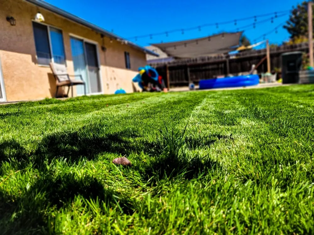 Professional landscape design in Oceano, CA - A-1 Landscapes Construction & Maintenance