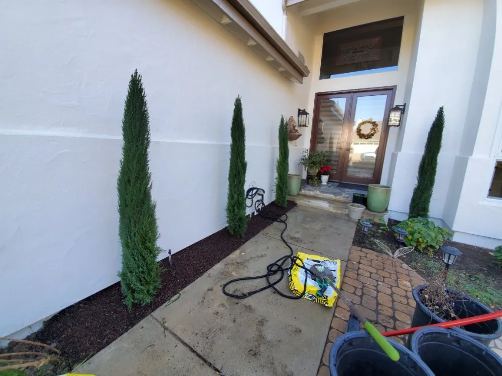 Professional yard cleanup service experts serving Oceano, CA - A-1 Landscapes Construction & Maintenance