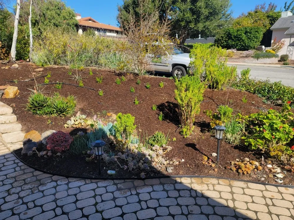 Trusted yard cleanup service experts serving Oceano, CA - A-1 Landscapes Construction & Maintenance