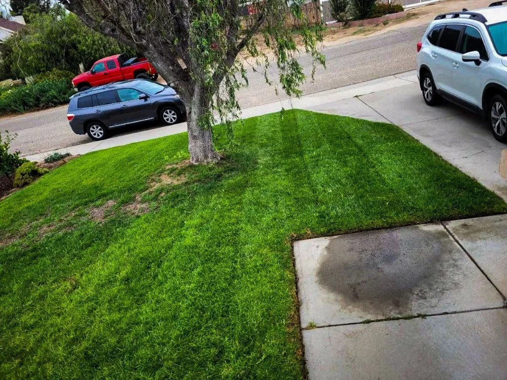 Affordable yard cleanup service in Oceano, CA by A-1 Landscapes Construction & Maintenance