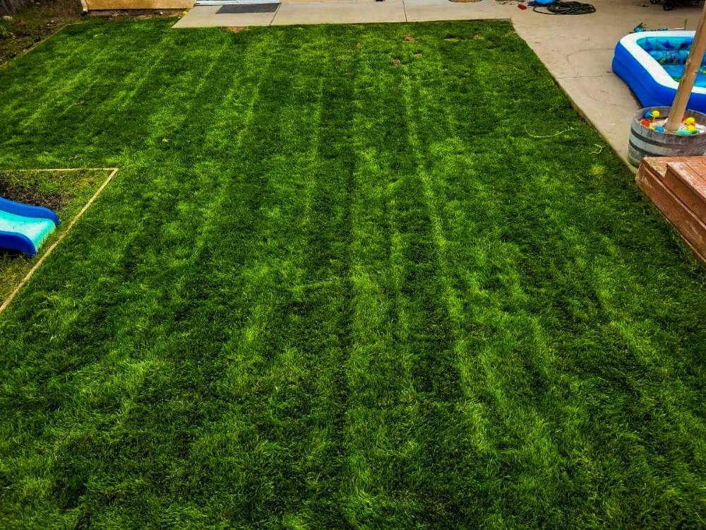 Trusted garden landscaping in Oceano, CA by A-1 Landscapes Construction & Maintenance