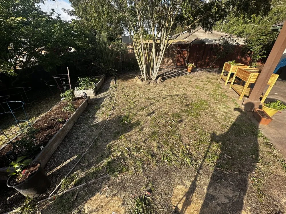 Expert yard cleanup service for homes in Oceano, CA by A-1 Landscapes Construction & Maintenance