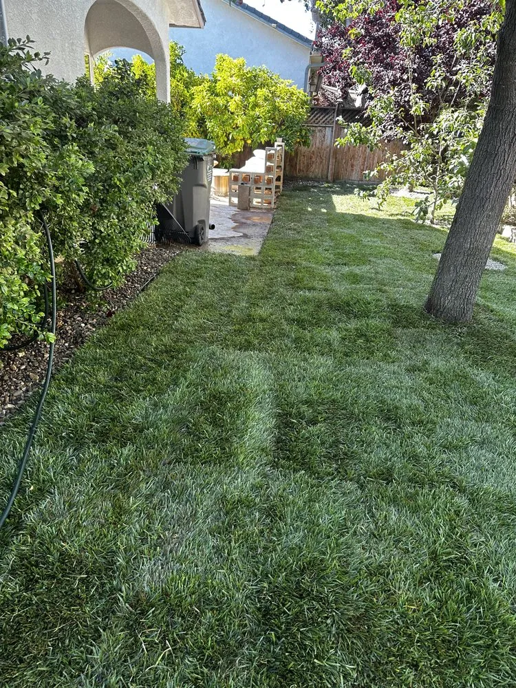 Custom lawn care service in Oceano, CA - A-1 Landscapes Construction & Maintenance