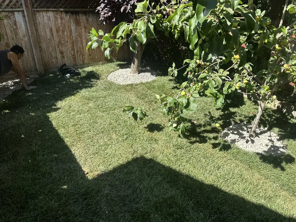 Top-rated outdoor landscaping in Oceano, CA - A-1 Landscapes Construction & Maintenance