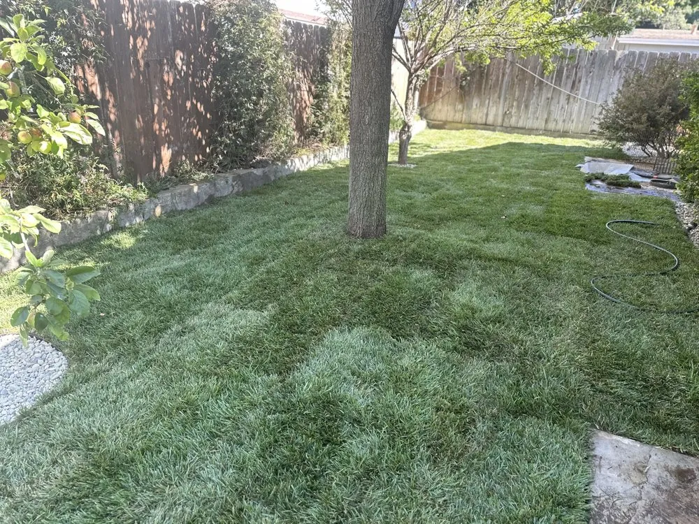 Professional garden landscaping for beautiful yards in Oceano, CA by A-1 Landscapes Construction & Maintenance