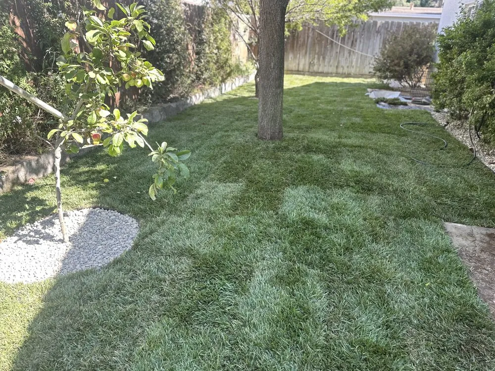 Expert yard cleanup service experts serving Oceano, CA - A-1 Landscapes Construction & Maintenance