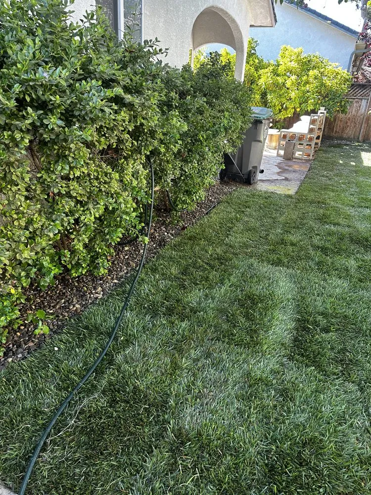 Reliable lawn mowing service experts serving Oceano, CA - A-1 Landscapes Construction & Maintenance