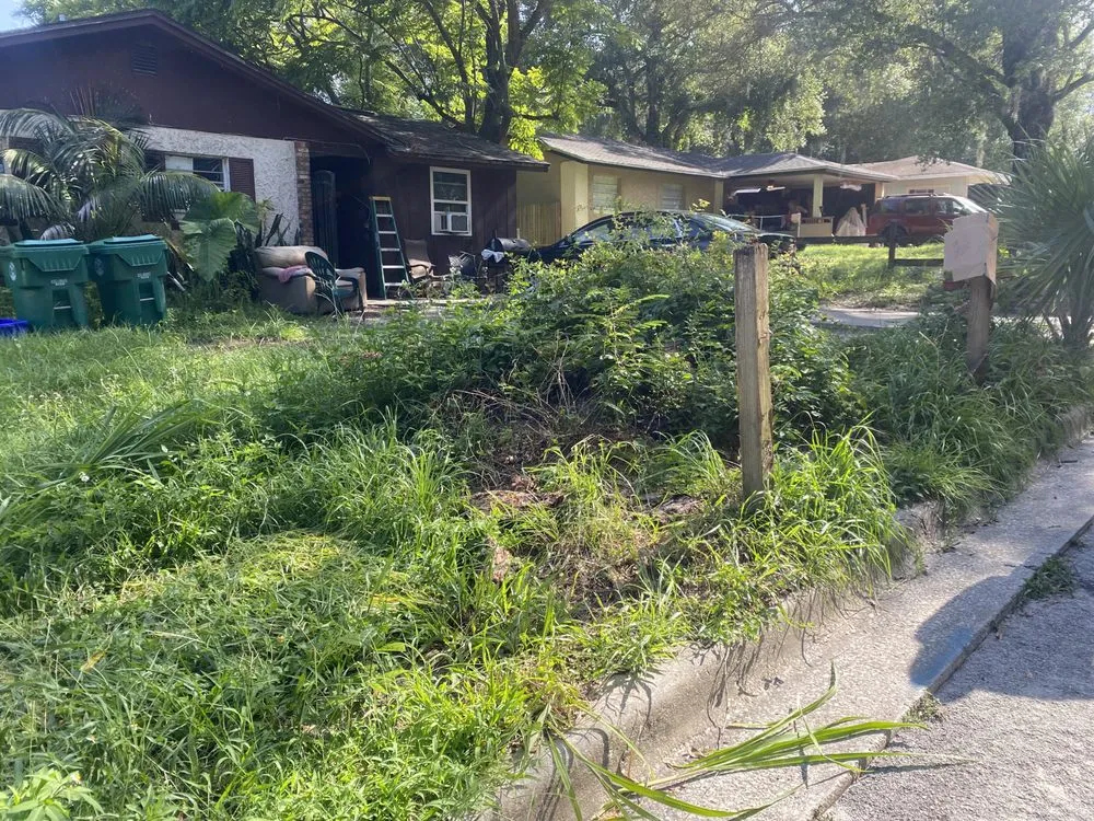 Professional landscape installation experts serving DeLand, FL - A-1 Landscaping & Clearing