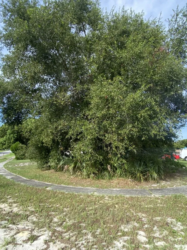 Expert garden landscaping in DeLand, FL by A-1 Landscaping & Clearing