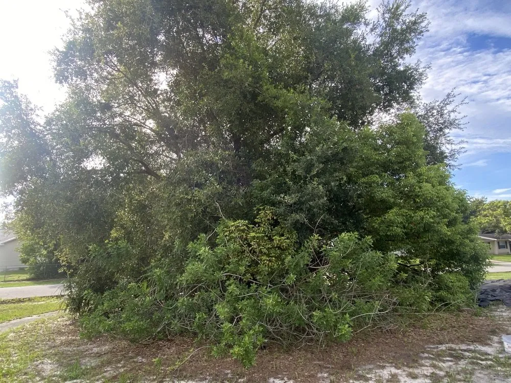 Top-rated landscaping services for beautiful yards across DeLand, FL - A-1 Landscaping & Clearing