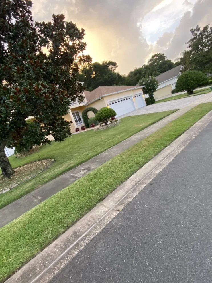 Local residential landscaping in DeLand, FL - A-1 Landscaping & Clearing