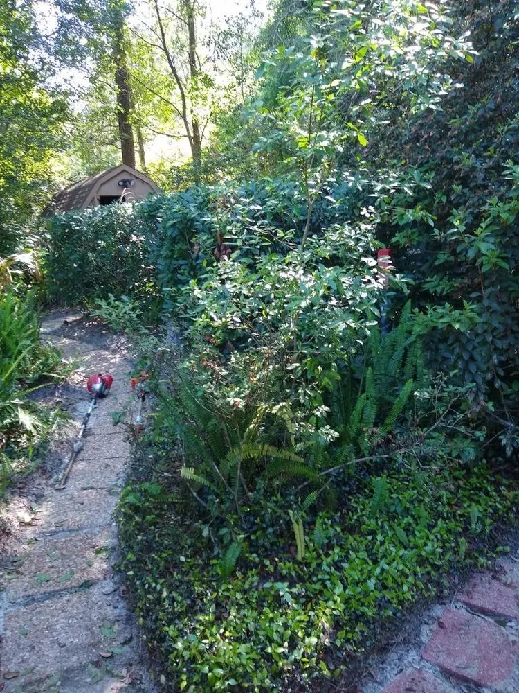 Expert lawn mowing service with custom design across DeLand, FL - A-1 Landscaping & Clearing