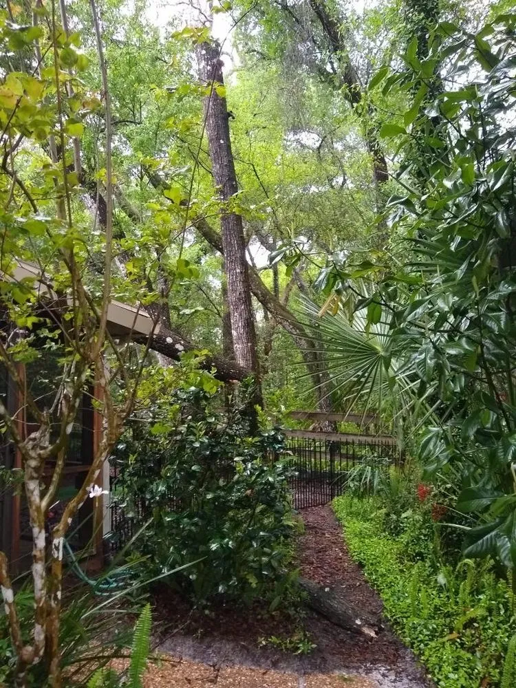 Custom yard maintenance experts serving DeLand, FL - A-1 Landscaping & Clearing