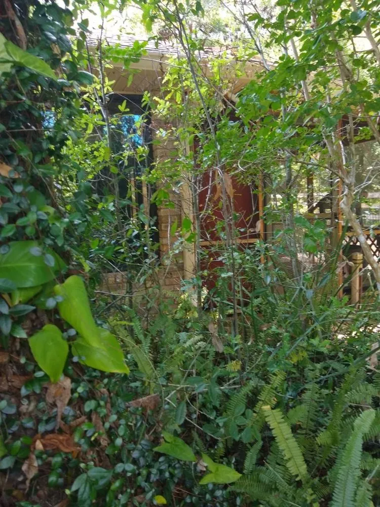 Reliable outdoor landscaping in DeLand, FL - A-1 Landscaping & Clearing