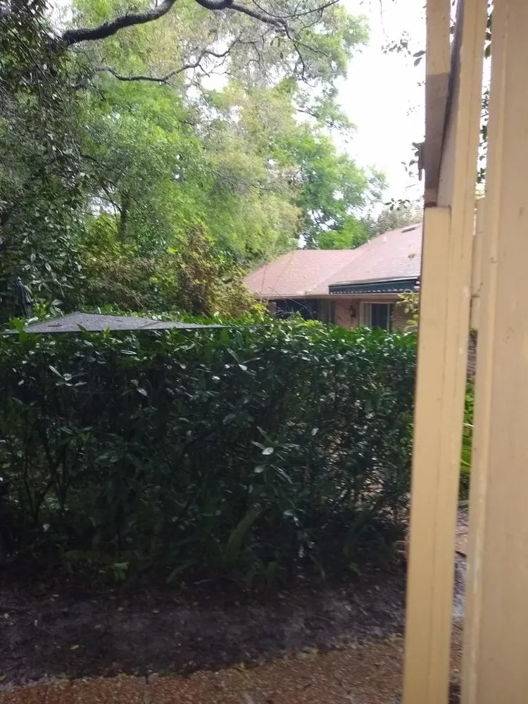 Professional lawn care service experts serving DeLand, FL - A-1 Landscaping & Clearing