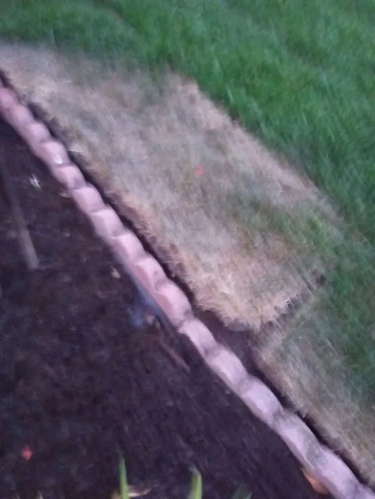 Affordable residential landscaping in Dixon, CA - A-1 Landscaping & Yard Maintenance