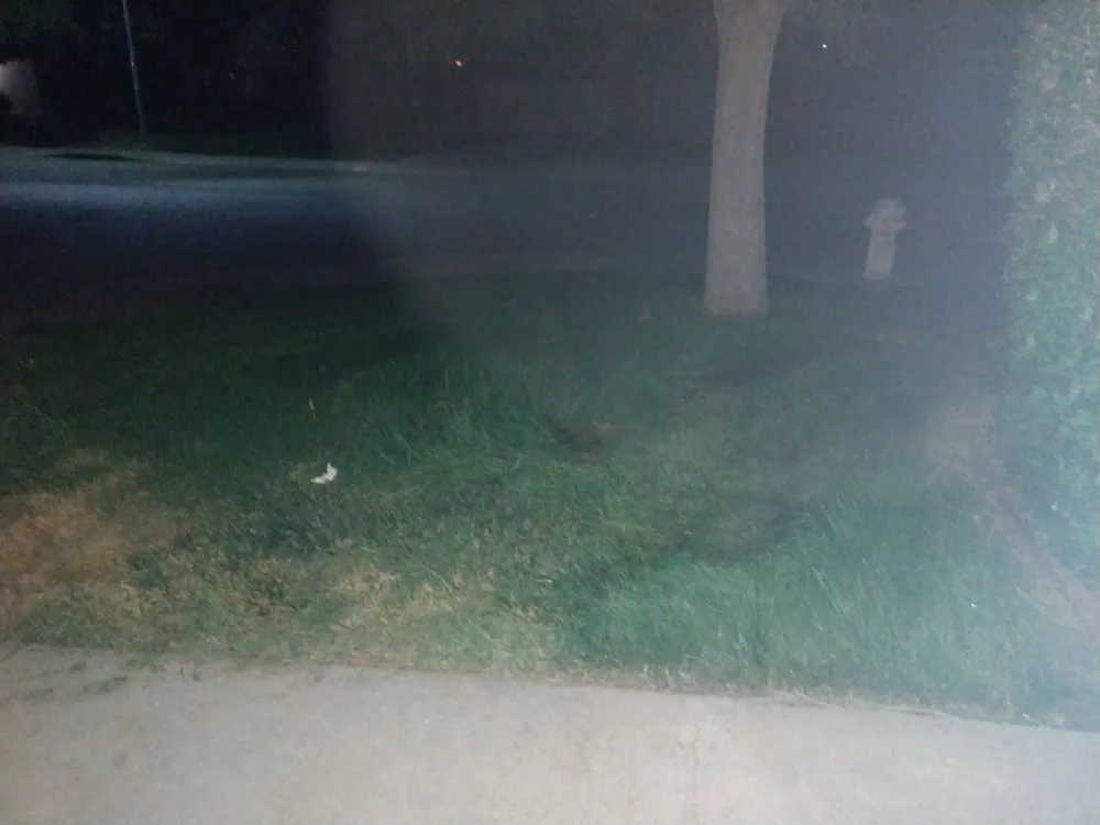 Custom yard maintenance in Dixon, CA - A-1 Landscaping & Yard Maintenance