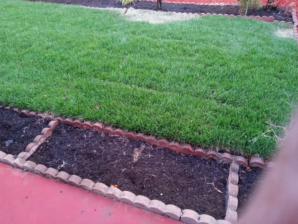 Reliable residential landscaping for year-round maintenance in Dixon, CA by A-1 Landscaping & Yard Maintenance