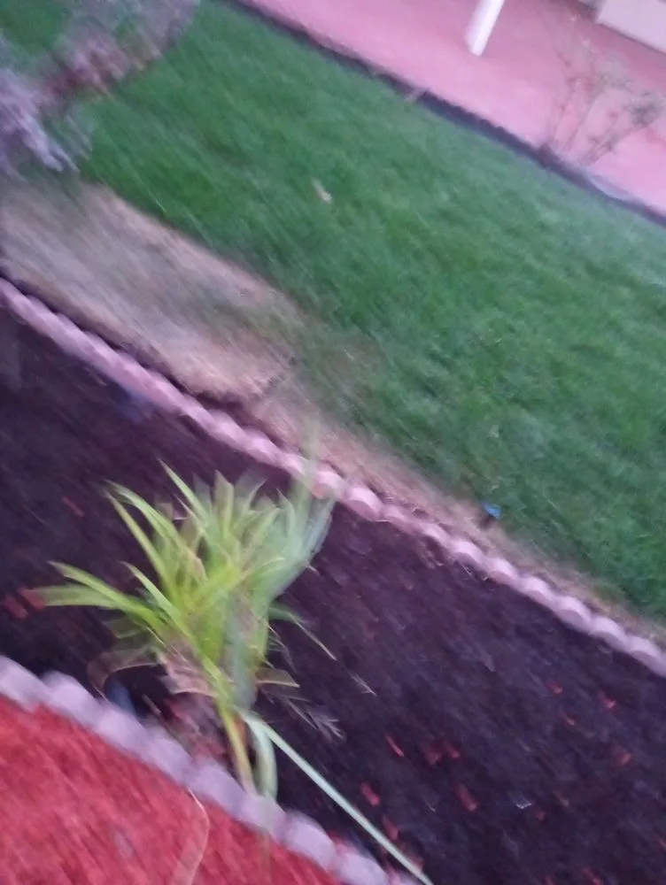 Top-rated landscape design in Dixon, CA - A-1 Landscaping & Yard Maintenance