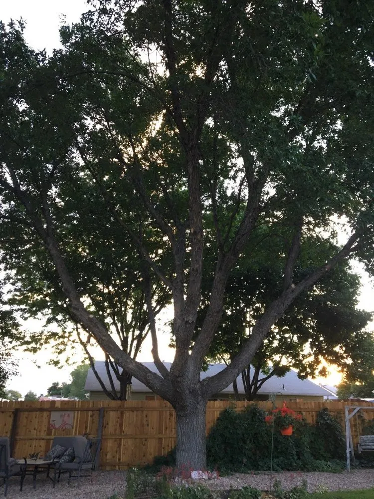 Local yard maintenance experts serving Grand Junction, CO - A-1 Landscaping & Yard Maintenance